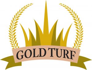 gold turf